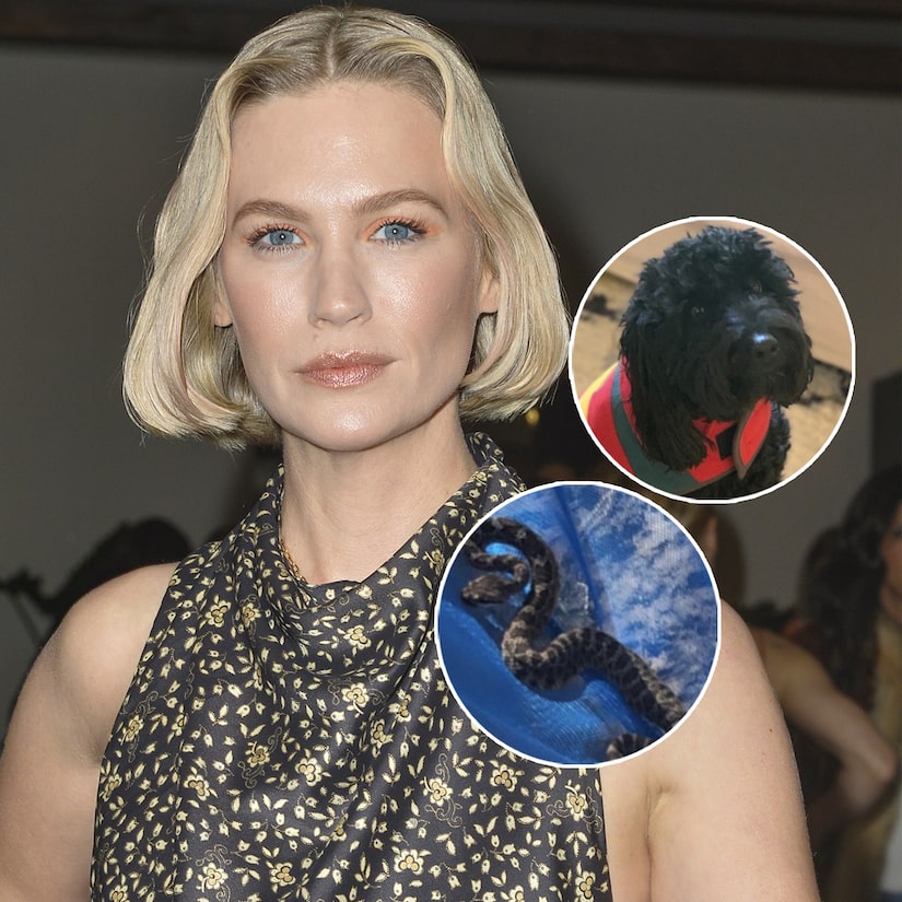 January Jones Says She Caught a Rattlesnake After It Bit Her Dog