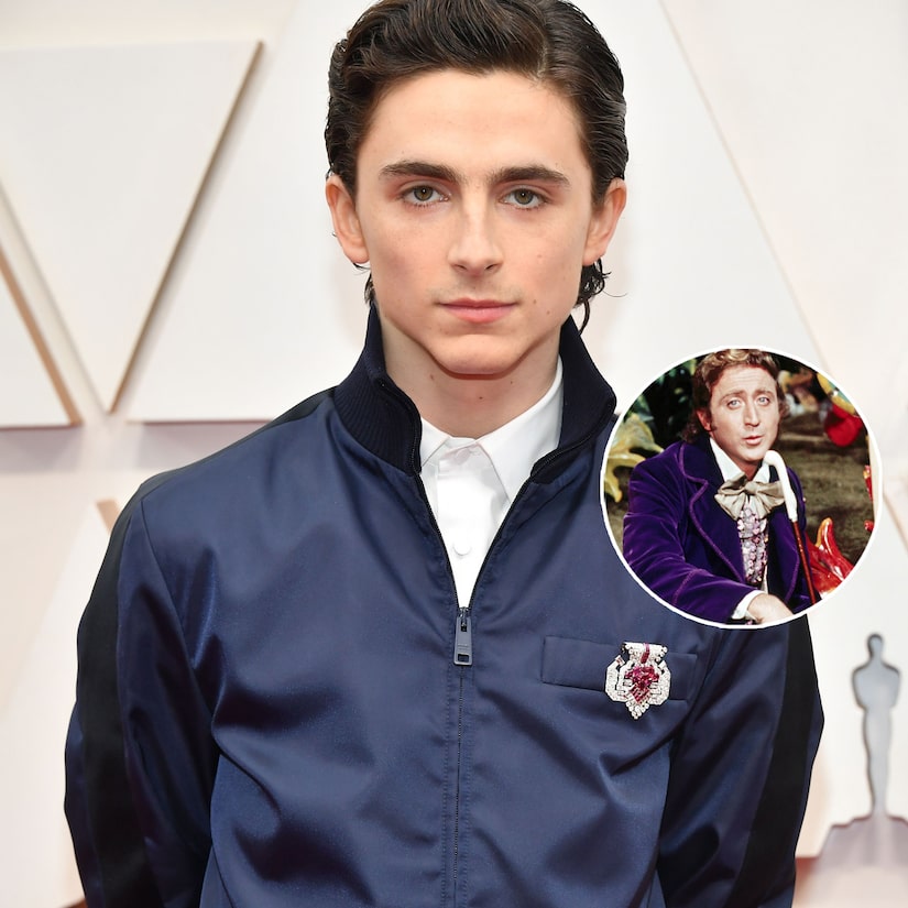 Timothee Chalamet to Play Willy Wonka In New Origin Story Prequel