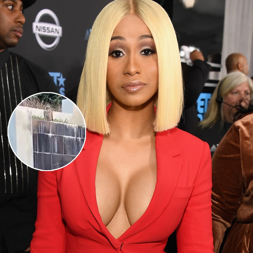 Cardi B Threatens to Shoot Home Invader Eyeing Her Dogs