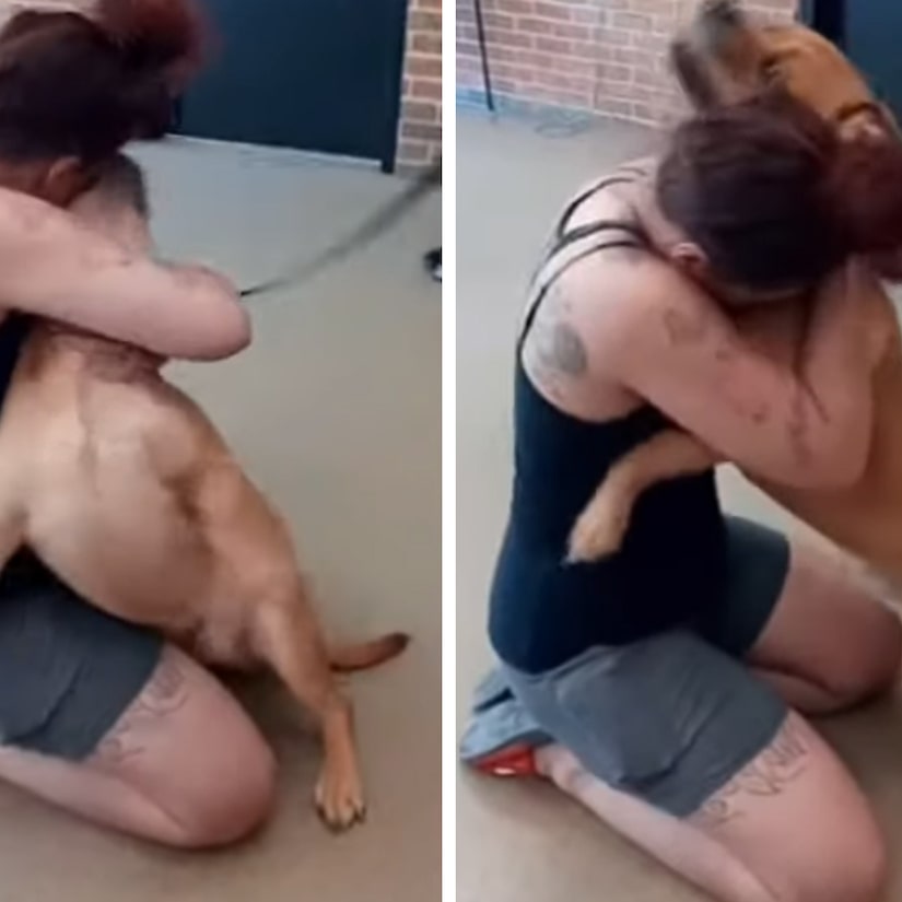 Woman Looking For New Pet At Shelter Finds Dog She Lost Two Years Ago