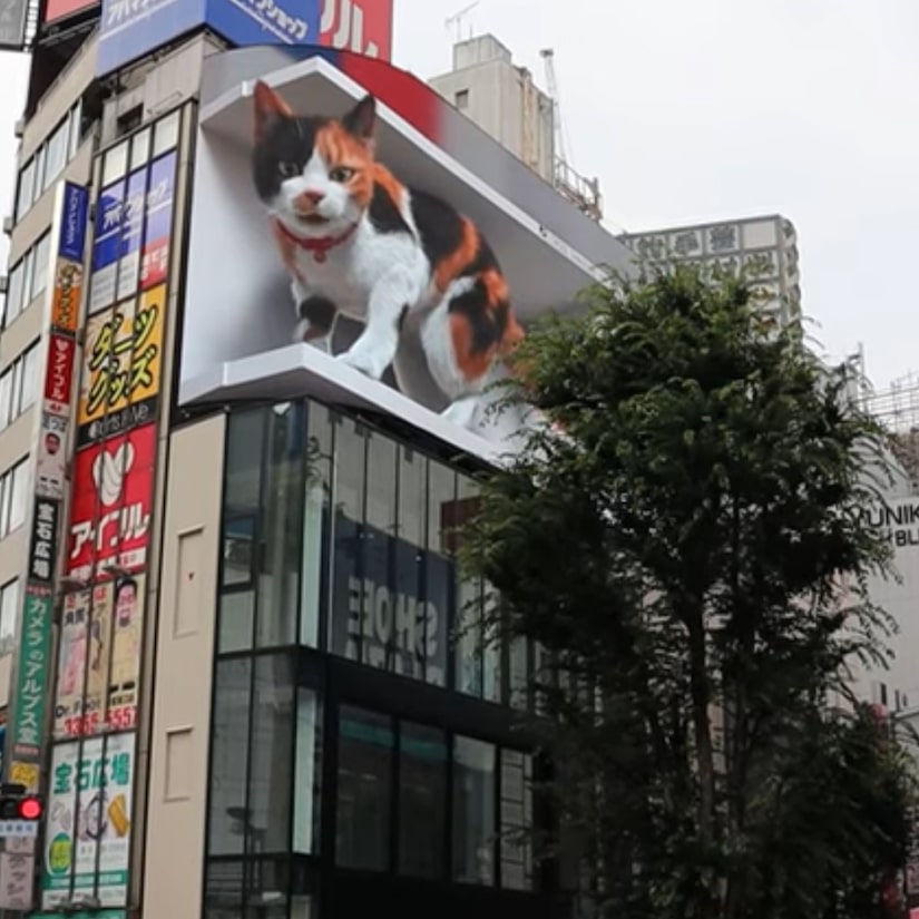 Giant 1,600ft Cat Playfully Terrorizes Tokyo