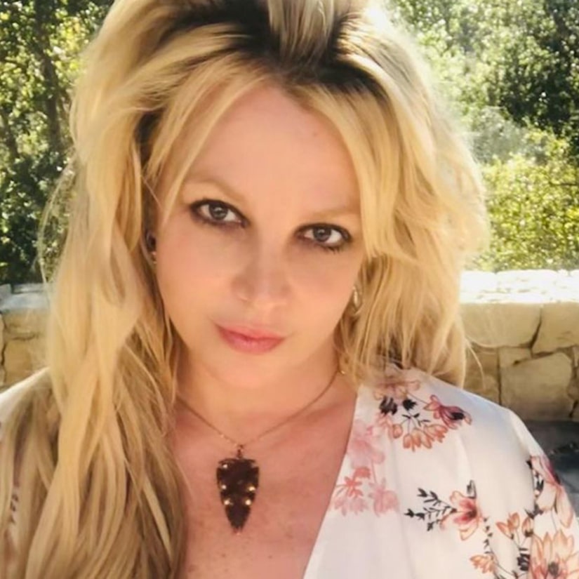 Jamie Spears Wants Britney to Pay His Legal Fees -- Her Attorney Calls His Request an 'Abomination'