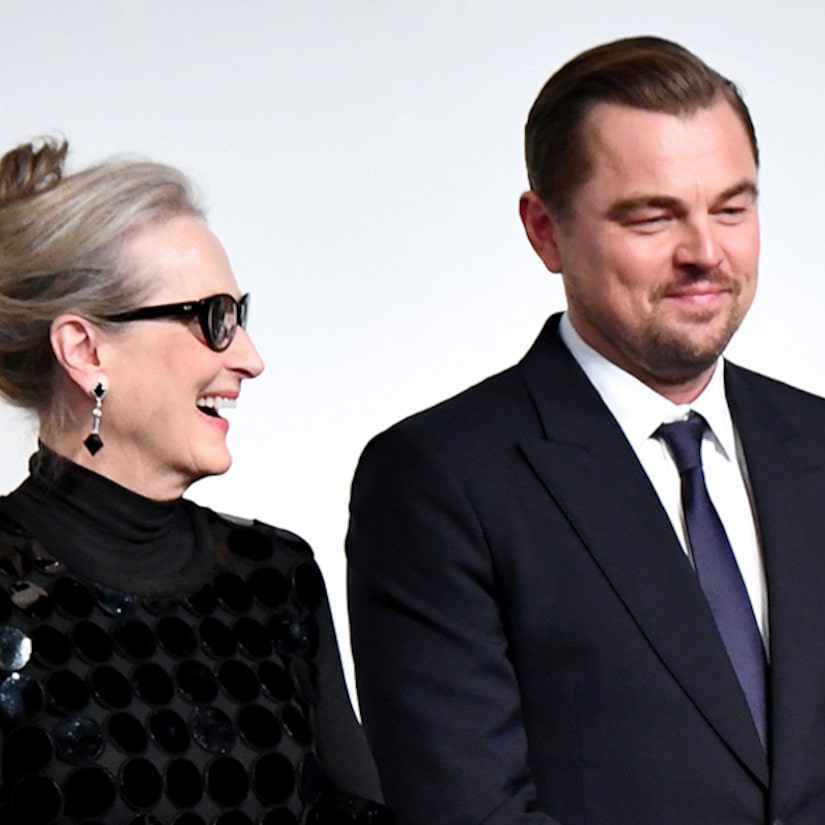 Why Leonardo DiCaprio Had a Problem With Meryl Streep's Nude Scene